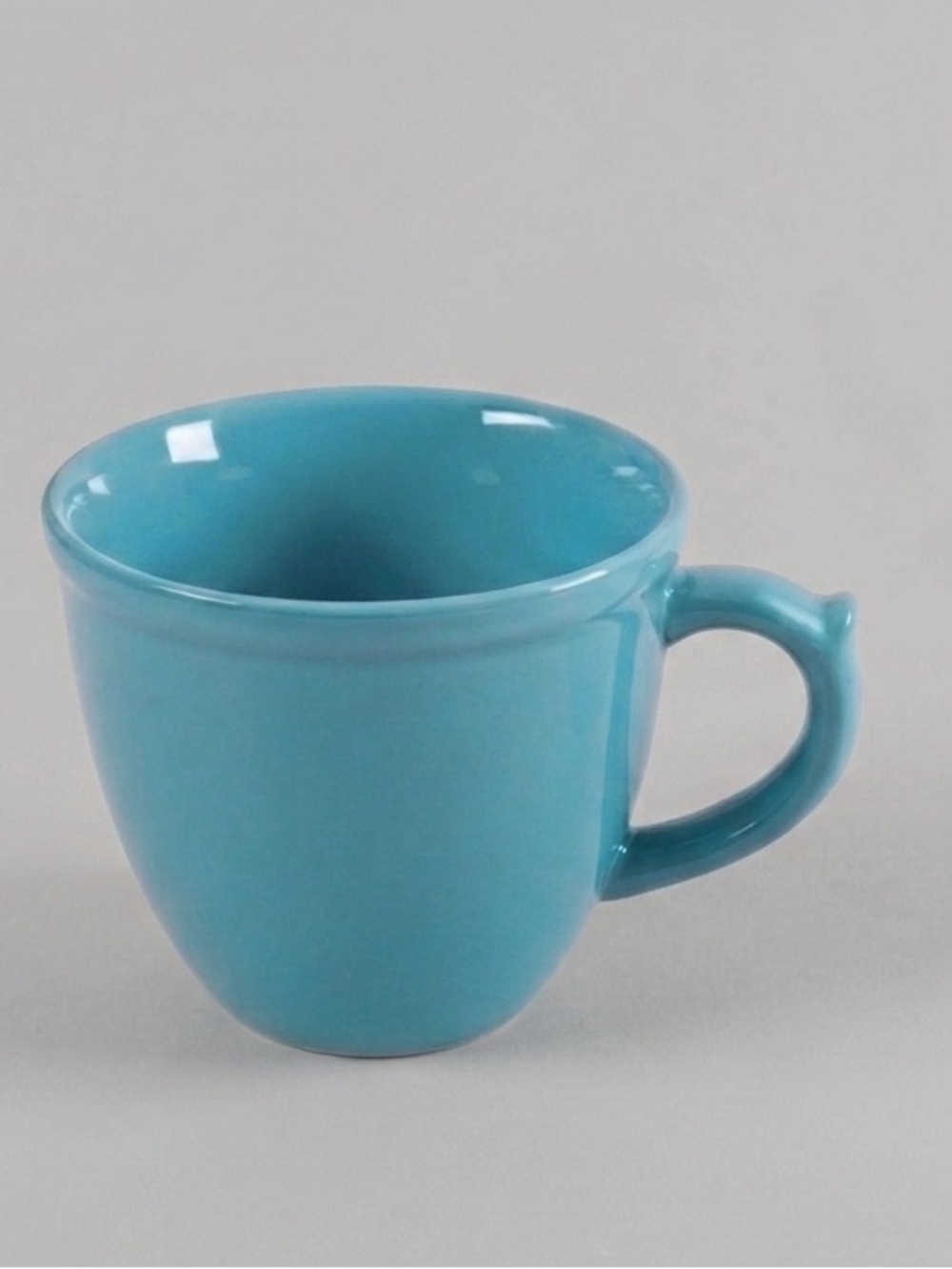 HTF 🌺 EUC The Pioneer Woman Teal Blue 19-Ounce Coffee Mug